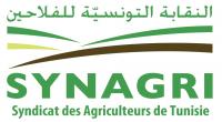 النقابة