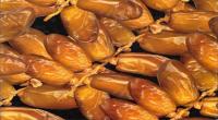 تونس: