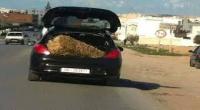 فريق