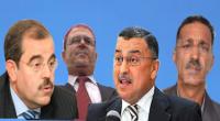 الزنايدي