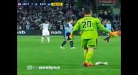 فيديو .. حارس مرمى يترك المباراة لإنقاذ طائر نورس