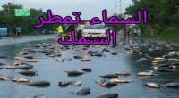 فيديو/. السماء تمطر 